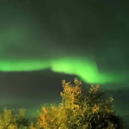 Pensionat Aurora In Shared Nr2 We Are Doing Privet Northen Lights Trips, Reindeer Trip And Fjord Sommaroy Trip