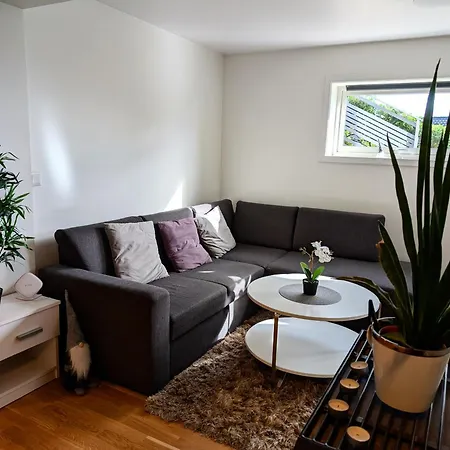 Pensión Aurora In Shared Nr2 We Are Doing Privet Northen Lights Trips, Reindeer Trip And Fjord Sommaroy Trip Tromsø