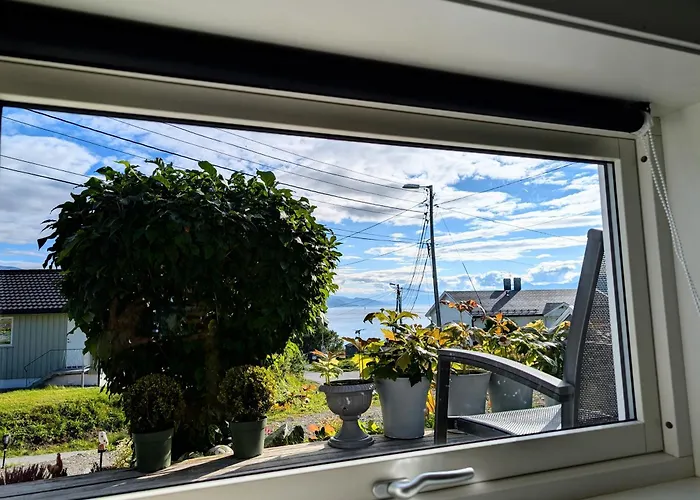 Aurora In Shared Nr2 We Are Doing Privet Northen Lights Trips, Reindeer Trip And Fjord Sommaroy Trip Penzion Tromsø