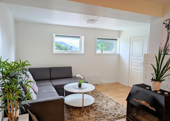 Aurora In Shared Nr2 We Are Doing Privet Northen Lights Trips, Reindeer Trip And Fjord Sommaroy Trip Penzion