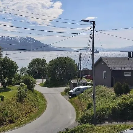 Aurora In Shared Nr2 We Are Doing Privet Northen Lights Trips, Reindeer Trip And Fjord Sommaroy Trip Tromsø