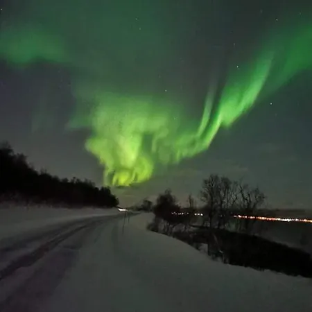 Gasthof Aurora In Shared Nr2 We Are Doing Privet Northen Lights Trips, Reindeer Trip And Fjord Sommaroy Trip 3*