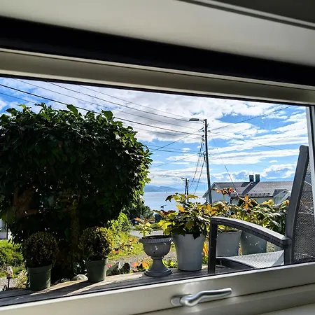 Aurora In Shared Nr2 We Are Doing Privet Northen Lights Trips, Reindeer Trip And Fjord Sommaroy Trip Affittacamere Tromsø