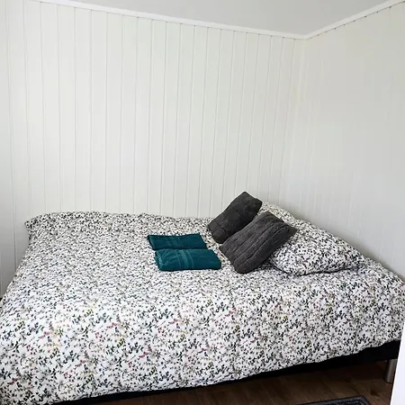 Aurora In Shared Nr2 We Are Doing Privet Northen Lights Trips, Reindeer Trip And Fjord Sommaroy Trip 3*