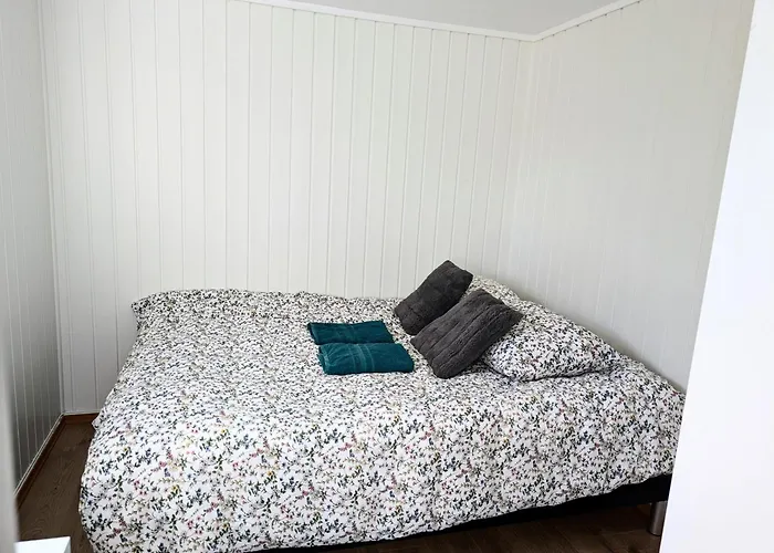 Aurora In Shared Nr2 We Are Doing Privet Northen Lights Trips, Reindeer Trip And Fjord Sommaroy Trip 3*